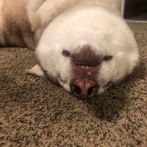 Meet your Posher, Maureen